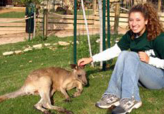 Sarah_Oren_kangaroo