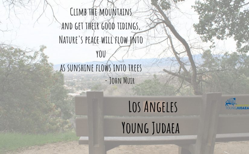 Hike – Los Angeles Young Judaea