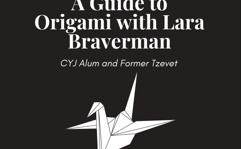 Learn Origami with Lara!
