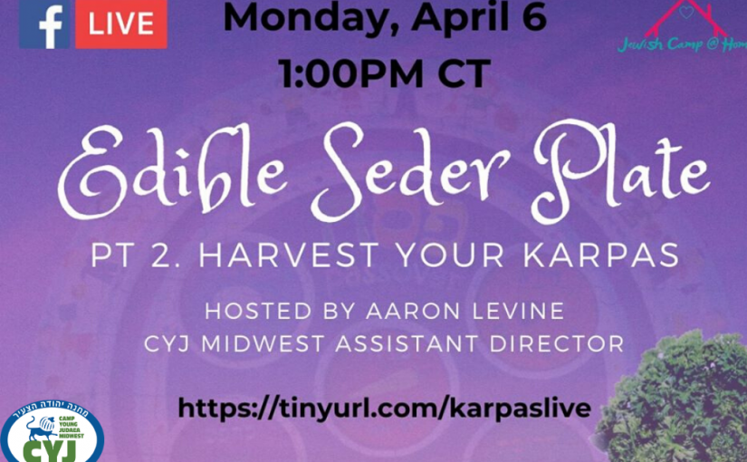 Edible Seder Plate: Pt 2. Harvest Your Karpas