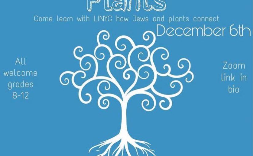 LINYC YJ: Plant & Propagate